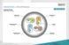 Патч-корд DIGITUS CAT 6a S-FTP, 1м, AWG 26/7, Cu, LSZH, синій DK-1644-A-010/B фото 4
